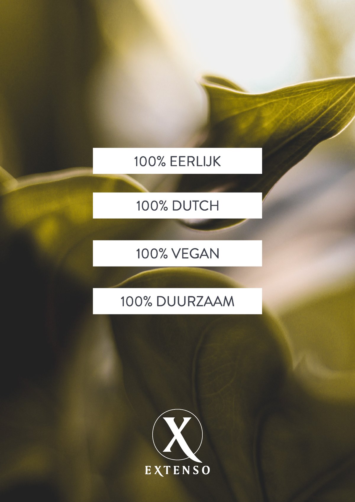 Extenso producten bij Studio Resa